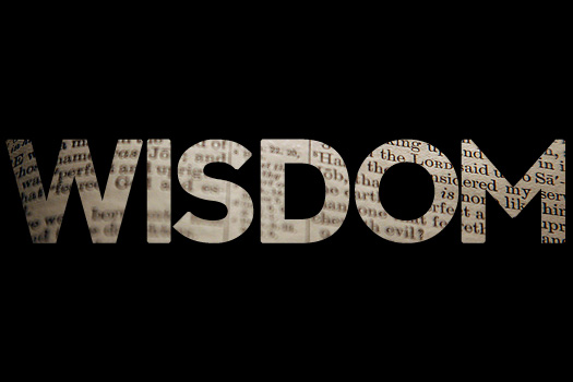 wisdom-large-3