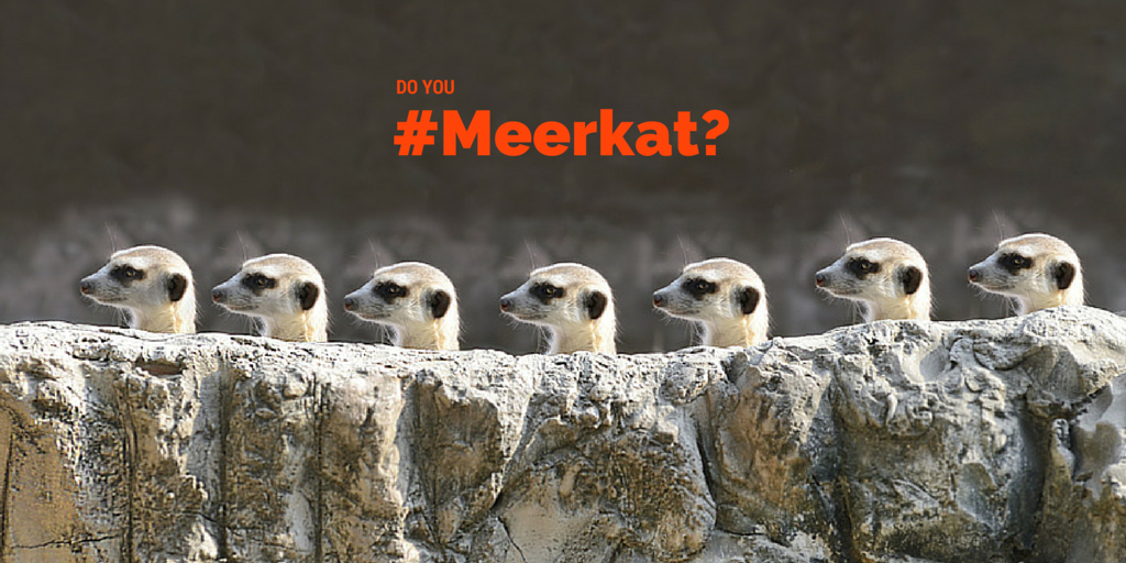 Do-you-Meerkat