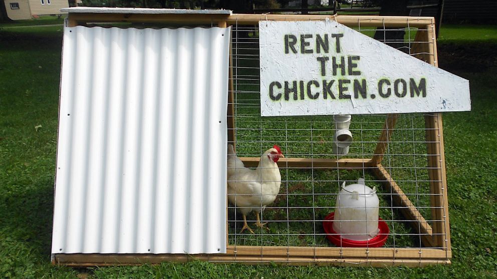 ht_rent_the_chicken_thg_130903_16x9_992